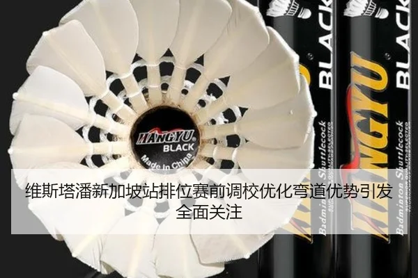 维斯塔潘新加坡站排位赛前调校优化弯道优势引发全面关注